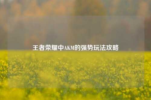 王者荣耀中AKM的强势玩法攻略