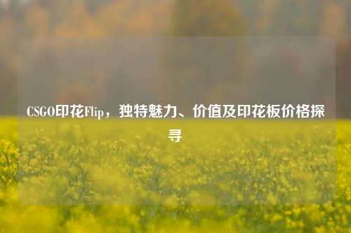 CSGO印花Flip，独特魅力、价值及印花板价格探寻