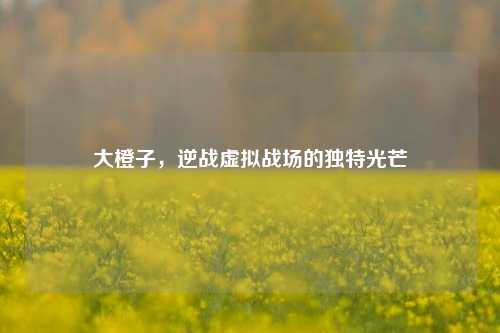 大橙子，逆战虚拟战场的独特光芒