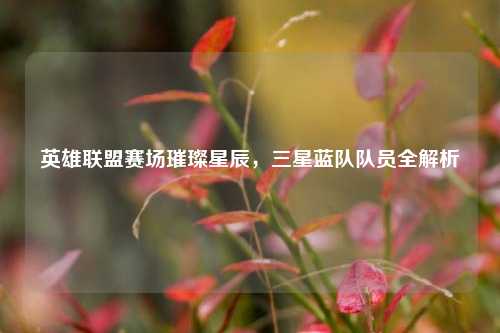 英雄联盟赛场璀璨星辰，三星蓝队队员全解析