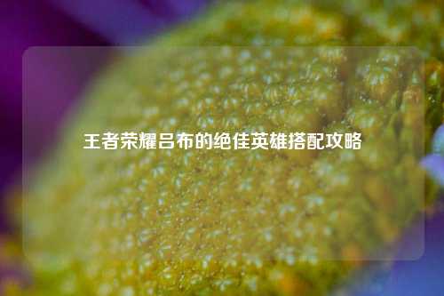 王者荣耀吕布的绝佳英雄搭配攻略