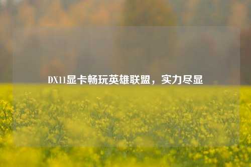 DX11显卡畅玩英雄联盟，实力尽显