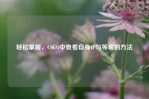 轻松掌握，CSGO中查看自身IP与等级的方法
