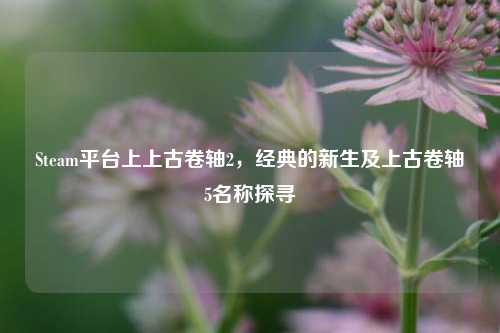 Steam平台上上古卷轴2，经典的新生及上古卷轴5名称探寻