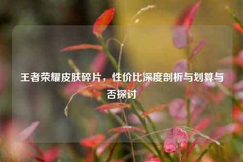 王者荣耀皮肤碎片，性价比深度剖析与划算与否探讨