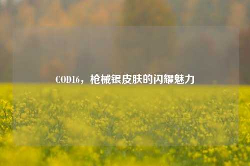 COD16，枪械银皮肤的闪耀魅力