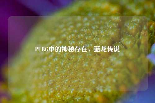 PUBG中的神秘存在，蓝龙传说