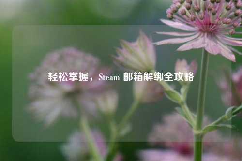 轻松掌握，Steam 邮箱解绑全攻略