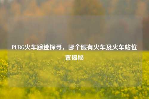 PUBG火车踪迹探寻，哪个服有火车及火车站位置揭秘