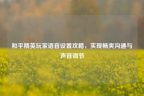 和平精英玩家语音设置攻略，实现畅爽沟通与声音调节