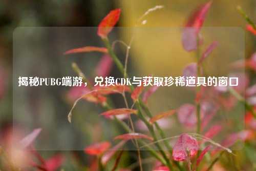 揭秘PUBG端游，兑换CDK与获取珍稀道具的窗口