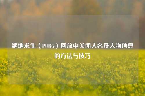 绝地求生（PUBG）回放中关闭人名及人物信息的方法与技巧