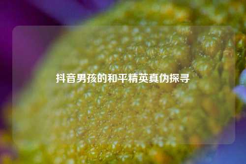 抖音男孩的和平精英真伪探寻