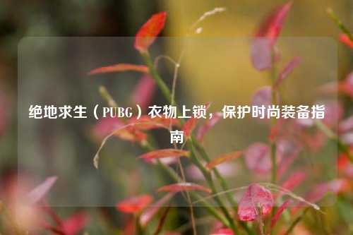 绝地求生（PUBG）衣物上锁，保护时尚装备指南