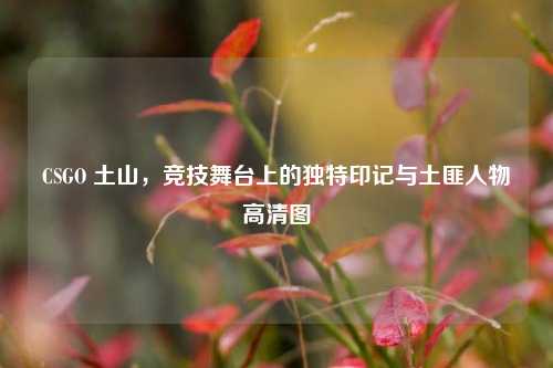 CSGO 土山，竞技舞台上的独特印记与土匪人物高清图