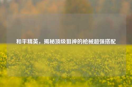 和平精英，揭秘顶级狙神的枪械超强搭配