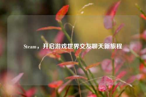 Steam，开启游戏世界交友聊天新旅程