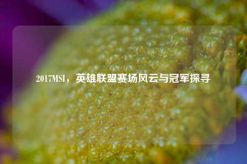 2017MSI，英雄联盟赛场风云与冠军探寻