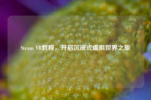 Steam VR教程，开启沉浸式虚拟世界之旅