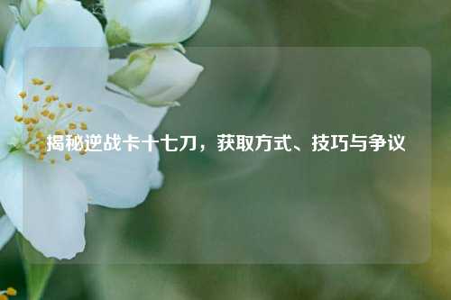 揭秘逆战卡十七刀，获取方式、技巧与争议