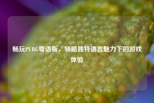 畅玩PUBG粤语版，领略独特语言魅力下的游戏体验