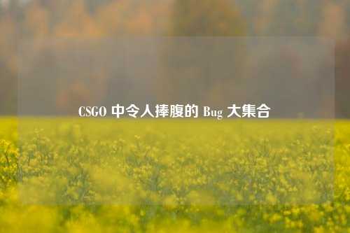 CSGO 中令人捧腹的 Bug 大集合