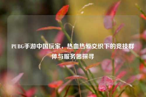 PUBG手游中国玩家，热血热爱交织下的竞技群体与服务器探寻