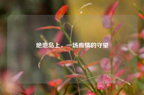 绝地岛上，一场痴情的守望