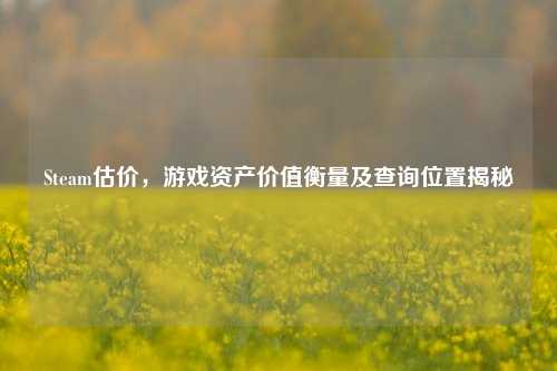 Steam估价，游戏资产价值衡量及查询位置揭秘