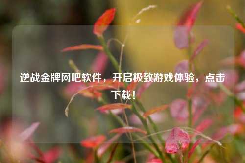 逆战金牌网吧软件，开启极致游戏体验，点击下载！
