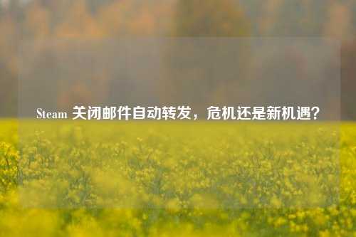 Steam 关闭邮件自动转发，危机还是新机遇？