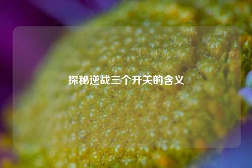 探秘逆战三个开关的含义