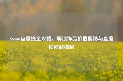 Steam查磨损全攻略，解锁饰品价值奥秘与查磨损网站揭秘