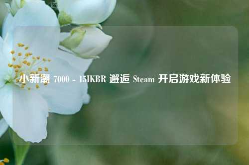 小新潮 7000 - 15IKBR 邂逅 Steam 开启游戏新体验