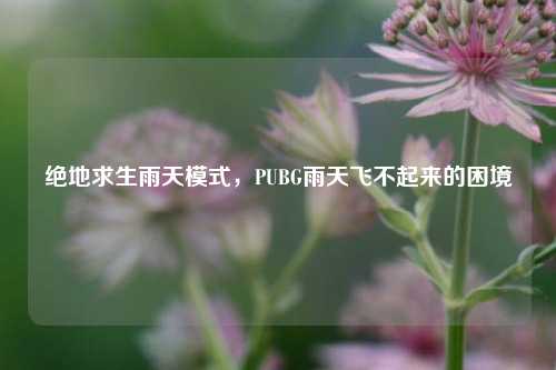 绝地求生雨天模式，PUBG雨天飞不起来的困境