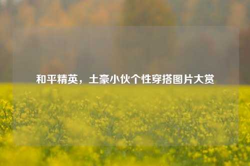 和平精英，土豪小伙个性穿搭图片大赏