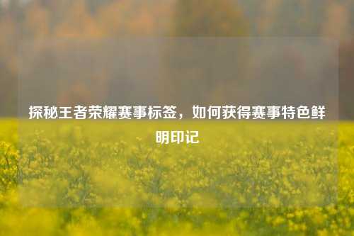 探秘王者荣耀赛事标签，如何获得赛事特色鲜明印记