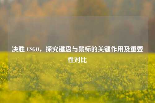 决胜 CSGO，探究键盘与鼠标的关键作用及重要性对比