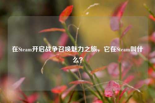 在Steam开启战争召唤魅力之旅，它在Steam叫什么？
