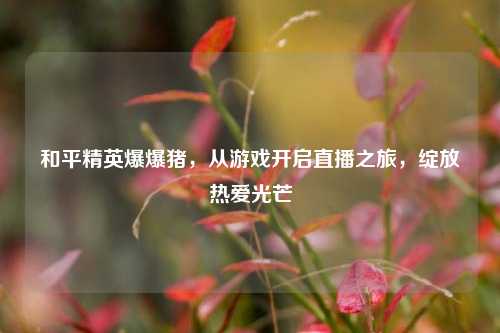 和平精英爆爆猪，从游戏开启直播之旅，绽放热爱光芒