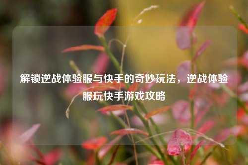 解锁逆战体验服与快手的奇妙玩法，逆战体验服玩快手游戏攻略