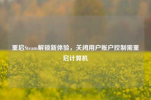重启Steam解锁新体验，关闭用户账户控制需重启计算机