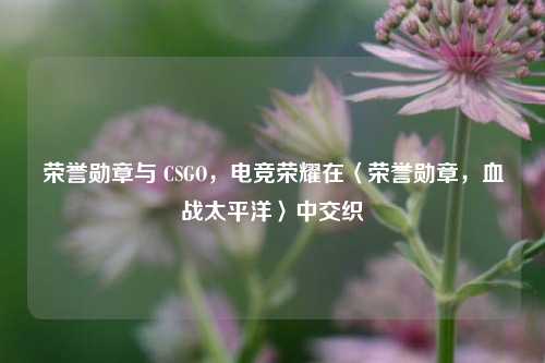 荣誉勋章与 CSGO，电竞荣耀在〈荣誉勋章，血战太平洋〉中交织