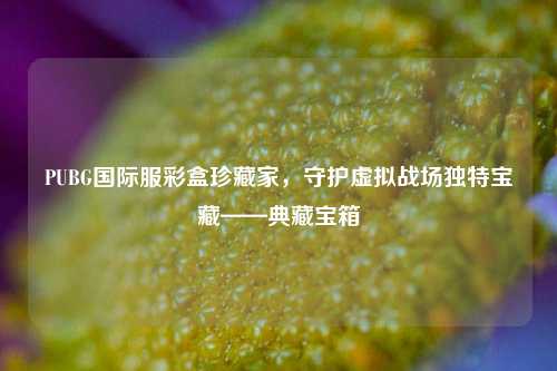 PUBG国际服彩盒珍藏家，守护虚拟战场独特宝藏——典藏宝箱
