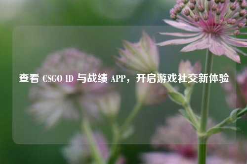 查看 CSGO ID 与战绩 APP，开启游戏社交新体验