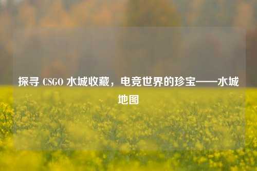 探寻 CSGO 水城收藏，电竞世界的珍宝——水城地图