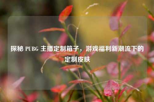 探秘 PUBG 主播定制箱子，游戏福利新潮流下的定制皮肤