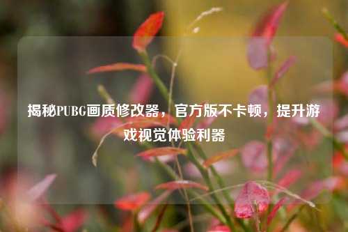 揭秘PUBG画质修改器，官方版不卡顿，提升游戏视觉体验利器