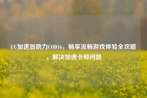 UU加速器助力COD16，畅享流畅游戏体验全攻略，解决加速卡顿问题