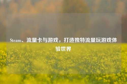 Steam、流量卡与游戏，打造独特流量玩游戏体验世界